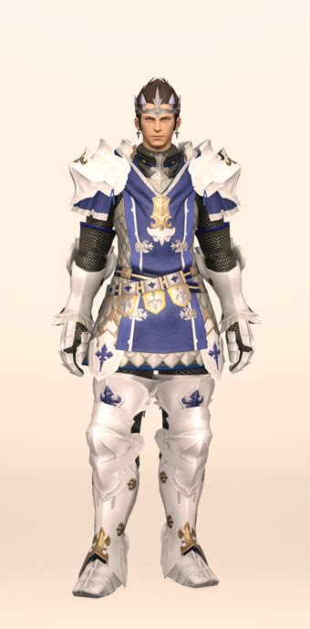 ffxiv paladin valor set.